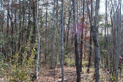 Property in Spartanburg County, South Carolina