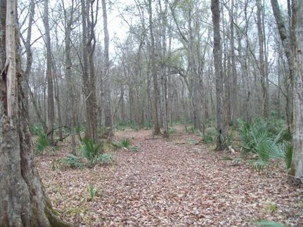 Property in Early County, Georgia