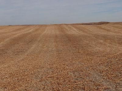 Property in McIntosh County, North Dakota