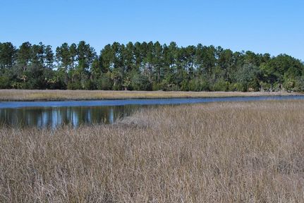 Property in Glynn County, Georgia