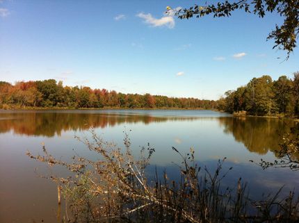 Property in Yazoo County, Mississippi
