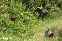 Property in Lewis County, Kentucky