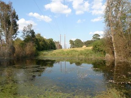 Property in Nacogdoches County, Texas