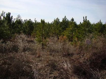 Property in Hempstead County, Arkansas