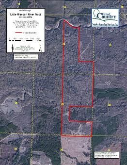 Property in Nevada County, Arkansas
