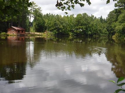 Property in Choctaw County, Alabama