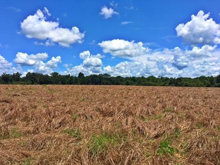 Property in Monroe County, Alabama