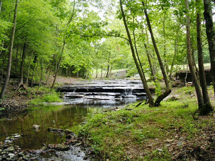 Property in Williamson County, Tennessee