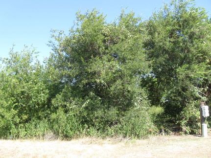 Property in Ellis County, Texas