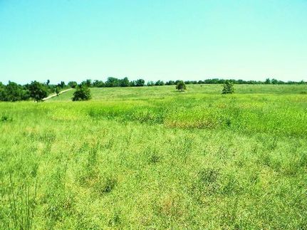 Property in Ozark County, Missouri