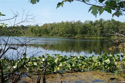 Property in Lenawee County, Michigan