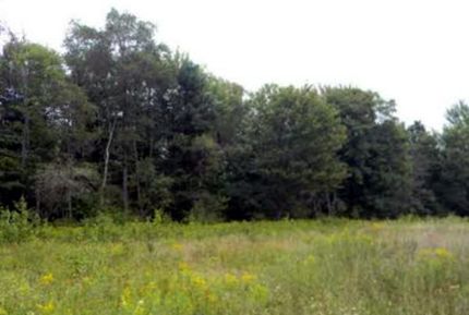Property in Saint Lawrence County, New York