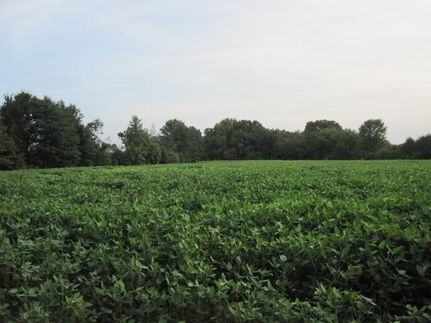 Property in Marshall County, Mississippi