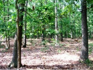 Property in Gloucester County, New Jersey