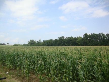 Property in Northumberland County, Pennsylvania