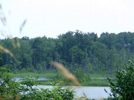 Property in Kent County, Michigan