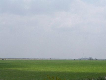 Property in Hidalgo County, Texas