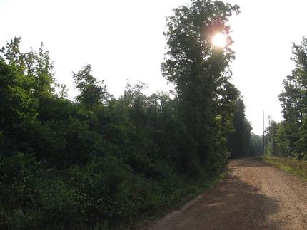 Property in Dallas County, Arkansas