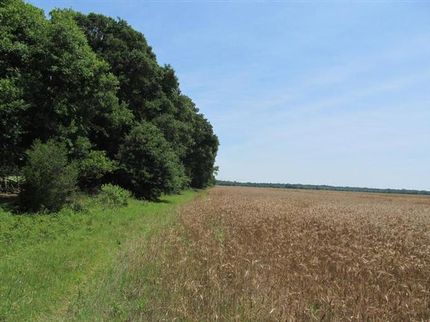 Property in Autauga County, Alabama