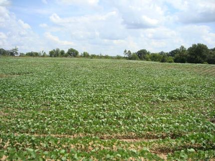 Property in Weakley County, Tennessee