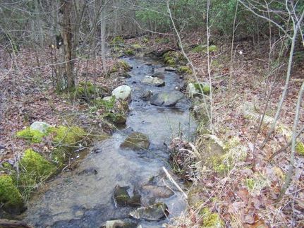 Property in Warren County, Tennessee