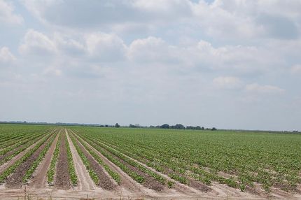 Property in Fort Bend County, Texas