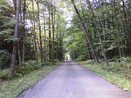 Property in Oneida County, New York