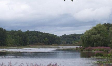 Property in Livingston County, Michigan