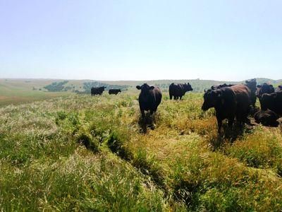 Property in San Luis Obispo County, California