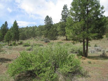 Property in Klamath County, Oregon