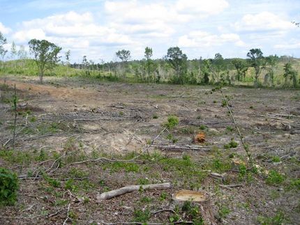 Property in Bibb County, Alabama