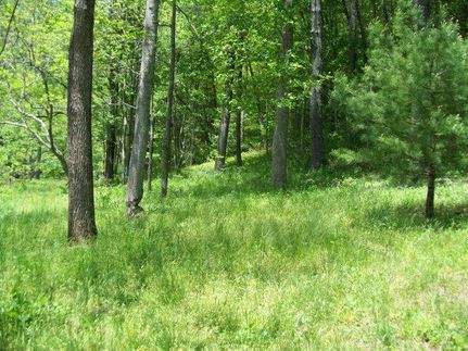 Property in Carroll County, Virginia