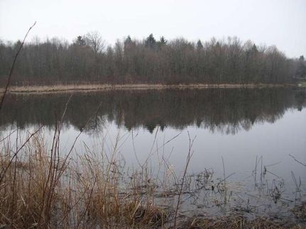 Property in Newaygo County, Michigan