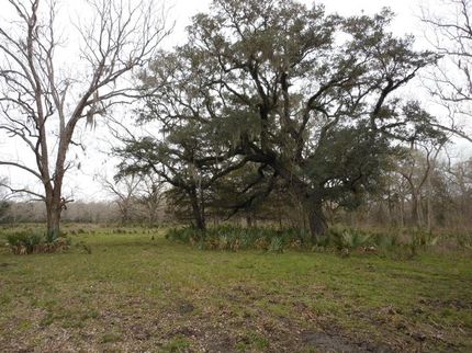 Property in Matagorda County, Texas