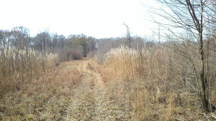 Property in Winn Parish, Louisiana