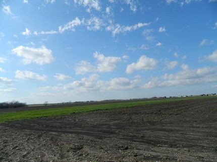 Property in Ellis County, Texas