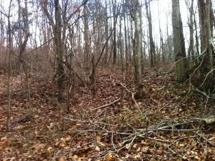 Property in Breckinridge County, Kentucky