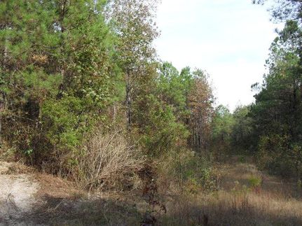 Property in Monroe County, Alabama