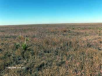 Property in Dallam County, Texas