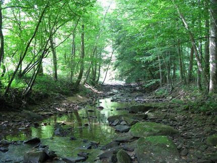 Property in Clay County, West Virginia