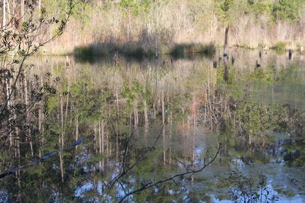 Property in Gadsden County, Florida