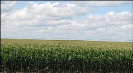 Property in Chase County, Nebraska