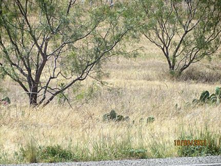 Property in Coleman County, Texas