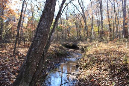 Property in Tishomingo County, Mississippi