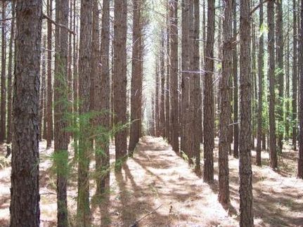 Property in Lexington County, South Carolina