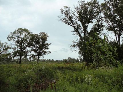 Property in Davidson County, Tennessee