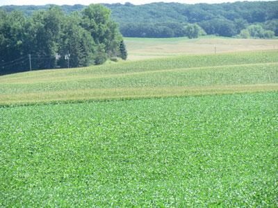 Property in Otter Tail County, Minnesota