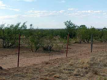 Property in Potter County, Texas