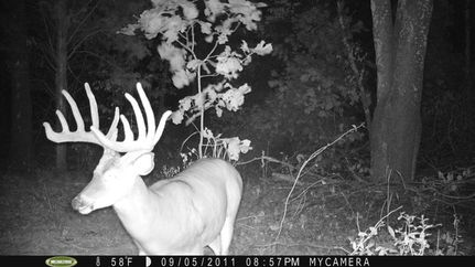 Property in Grayson County, Kentucky