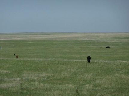 Property in Weld County, Colorado